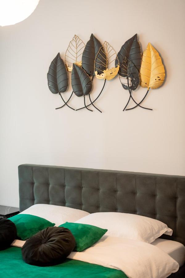 Apartment Coresi Vibe Brașov