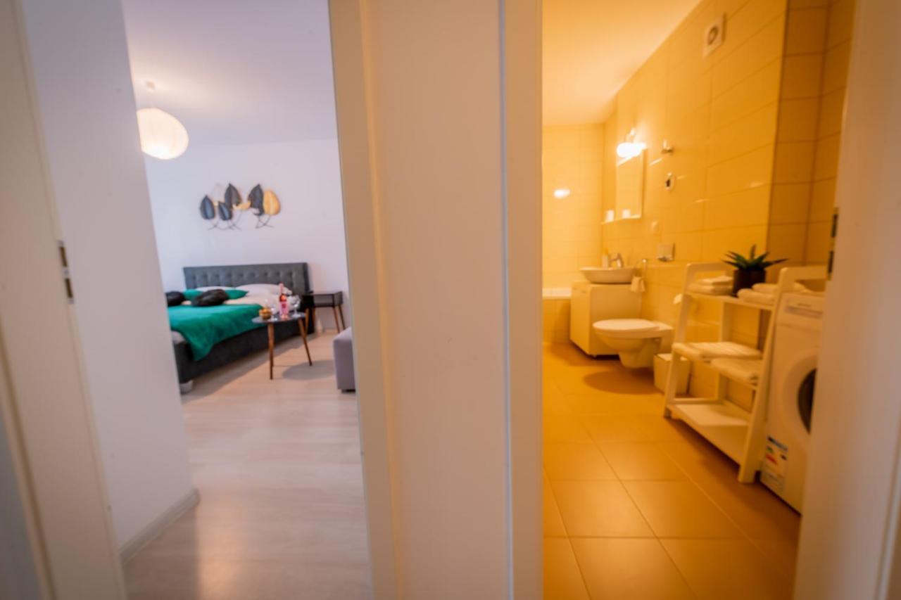 Coresi Vibe Apartment *
