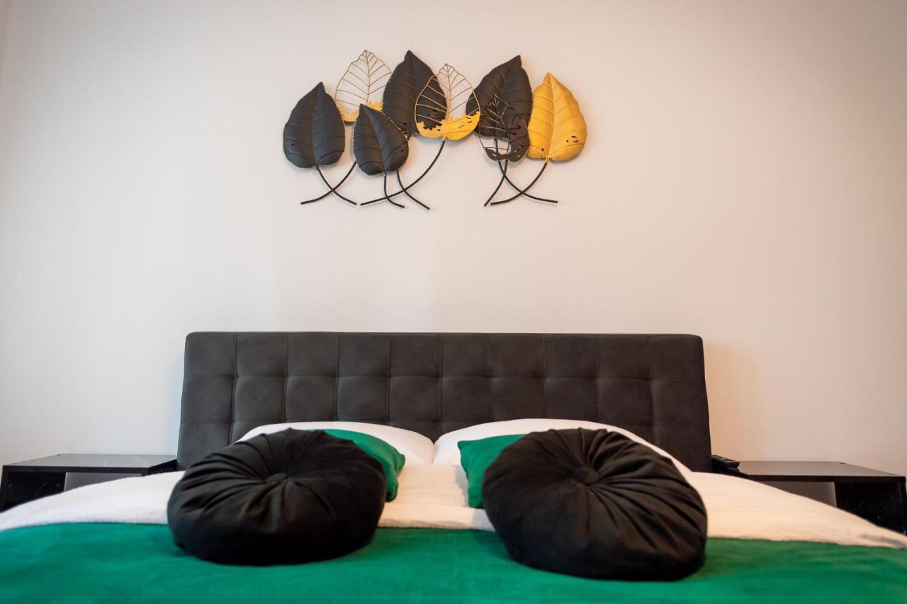 Coresi Vibe Apartament